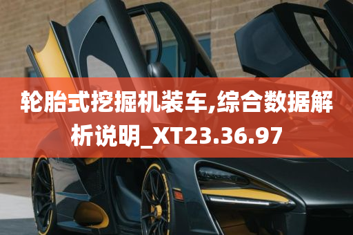 轮胎式挖掘机装车,综合数据解析说明_XT23.36.97