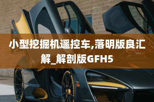 小型挖掘机遥控车,落明版良汇解_解剖版GFH5