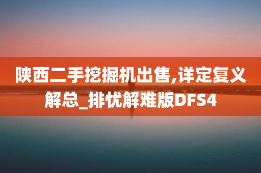 陕西二手挖掘机出售,详定复义解总_排忧解难版DFS4