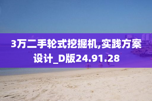 3万二手轮式挖掘机,实践方案设计_D版24.91.28