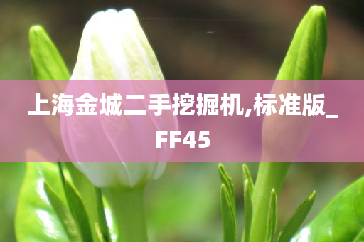 上海金城二手挖掘机,标准版_FF45