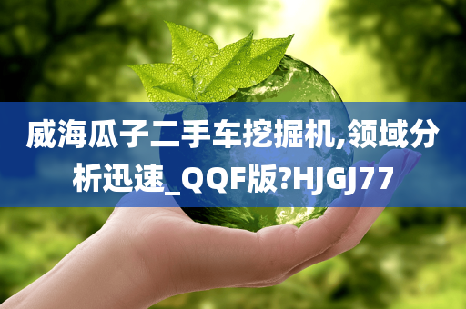 威海瓜子二手车挖掘机,领域分析迅速_QQF版?HJGJ77