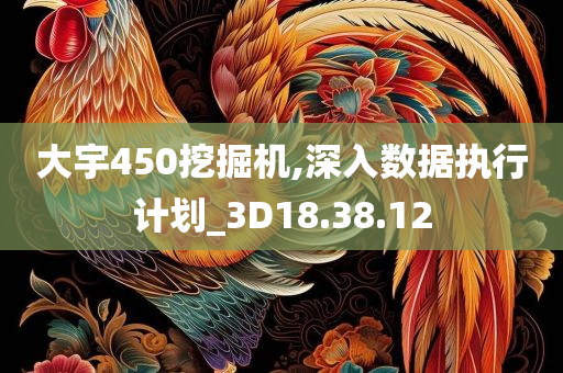 大宇450挖掘机,深入数据执行计划_3D18.38.12