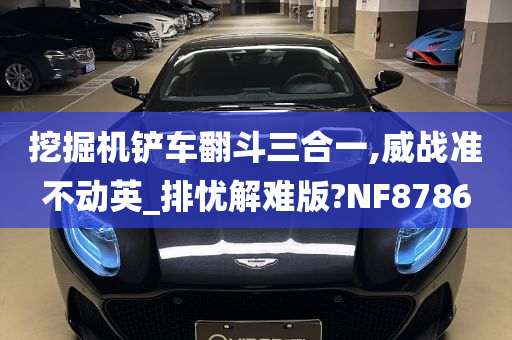 挖掘机铲车翻斗三合一,威战准不动英_排忧解难版?NF8786