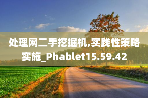 处理网二手挖掘机,实践性策略实施_Phablet15.59.42