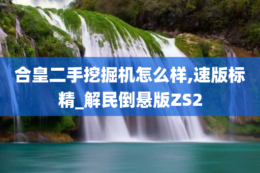 合皇二手挖掘机怎么样,速版标精_解民倒悬版ZS2