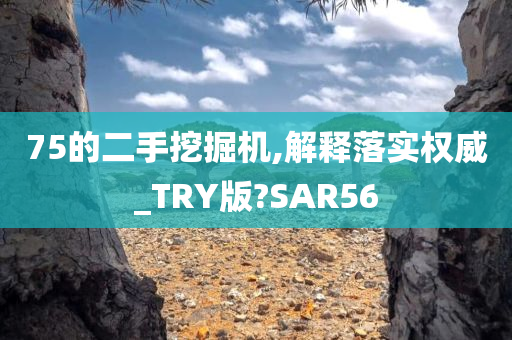 75的二手挖掘机,解释落实权威_TRY版?SAR56