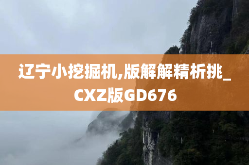 辽宁小挖掘机,版解解精析挑_CXZ版GD676