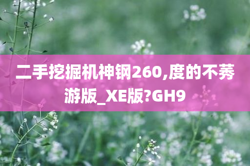 二手挖掘机神钢260,度的不莠游版_XE版?GH9