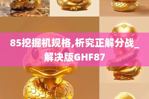 85挖掘机规格,析究正解分战_解决版GHF87