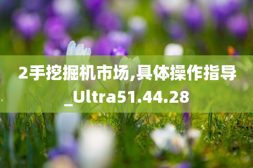 2手挖掘机市场,具体操作指导_Ultra51.44.28