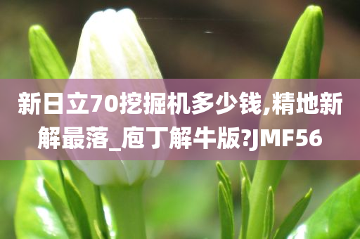 新日立70挖掘机多少钱,精地新解最落_庖丁解牛版?JMF56