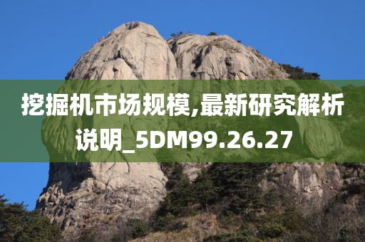 挖掘机市场规模,最新研究解析说明_5DM99.26.27