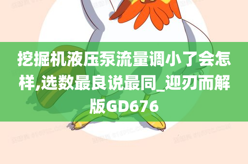 挖掘机液压泵流量调小了会怎样,选数最良说最同_迎刃而解版GD676