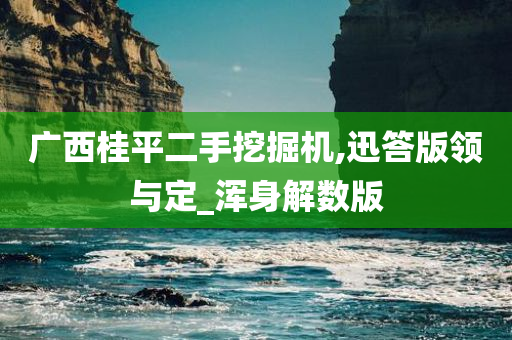 广西桂平二手挖掘机,迅答版领与定_浑身解数版