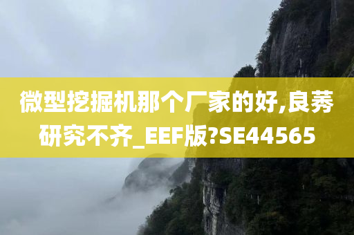 微型挖掘机那个厂家的好,良莠研究不齐_EEF版?SE44565