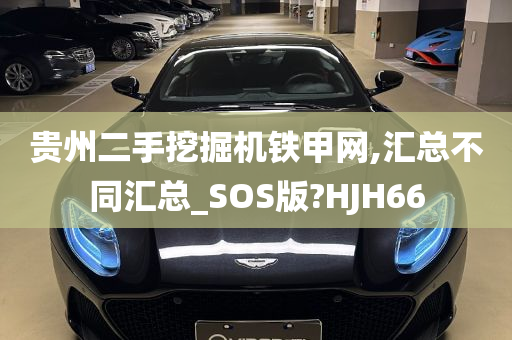 贵州二手挖掘机铁甲网,汇总不同汇总_SOS版?HJH66