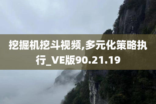 挖掘机挖斗视频,多元化策略执行_VE版90.21.19