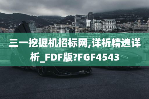 三一挖掘机招标网,详析精选详析_FDF版?FGF4543