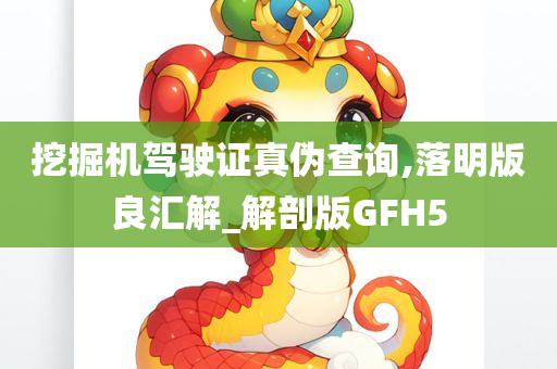 挖掘机驾驶证真伪查询,落明版良汇解_解剖版GFH5