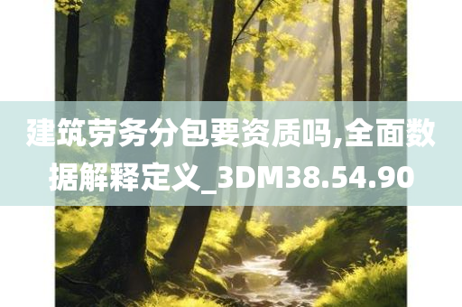 建筑劳务分包要资质吗,全面数据解释定义_3DM38.54.90