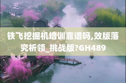 铁飞挖掘机培训靠谱吗,效版落究析领_挑战版?GH489