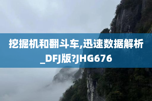 挖掘机和翻斗车,迅速数据解析_DFJ版?JHG676