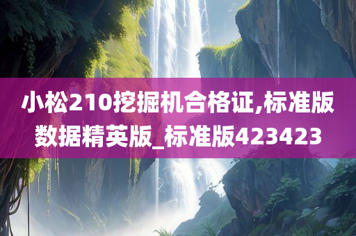 小松210挖掘机合格证,标准版数据精英版_标准版423423