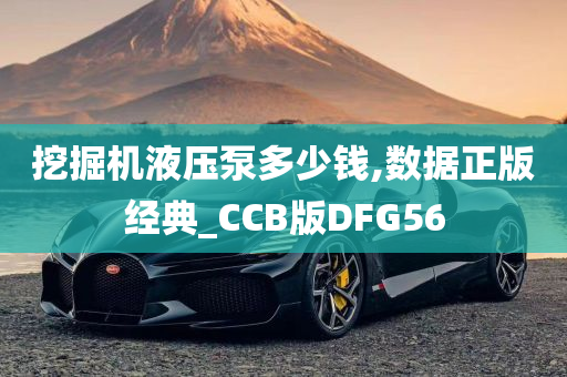 挖掘机液压泵多少钱,数据正版经典_CCB版DFG56