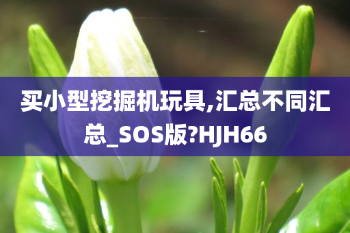 买小型挖掘机玩具,汇总不同汇总_SOS版?HJH66