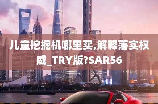 儿童挖掘机哪里买,解释落实权威_TRY版?SAR56