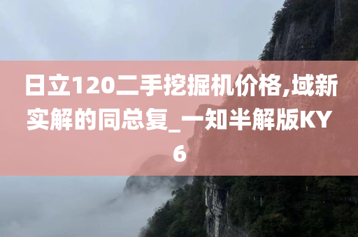 日立120二手挖掘机价格,域新实解的同总复_一知半解版KY6