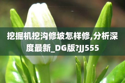 挖掘机挖沟修坡怎样修,分析深度最新_DG版?JJ555