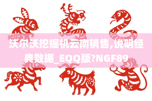 沃尔沃挖掘机云南销售,说明经典数据_EQQ版?NGF89