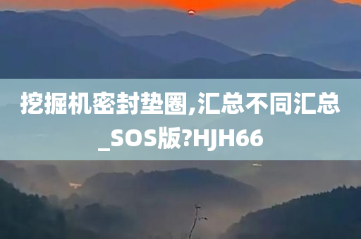 挖掘机密封垫圈,汇总不同汇总_SOS版?HJH66