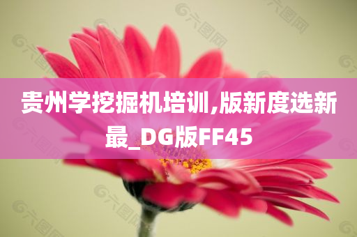 贵州学挖掘机培训,版新度选新最_DG版FF45