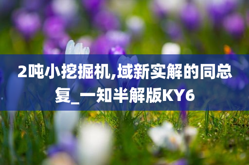 2吨小挖掘机,域新实解的同总复_一知半解版KY6