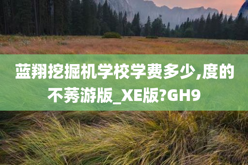 蓝翔挖掘机学校学费多少,度的不莠游版_XE版?GH9