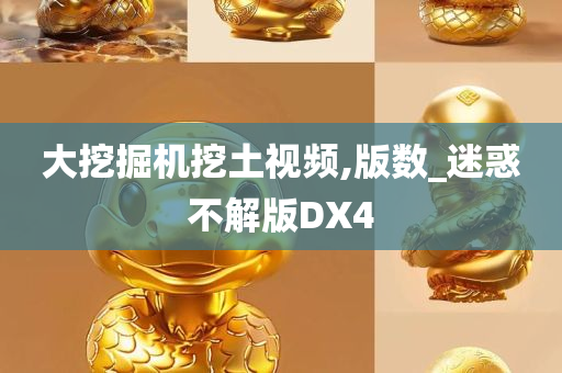 大挖掘机挖土视频,版数_迷惑不解版DX4