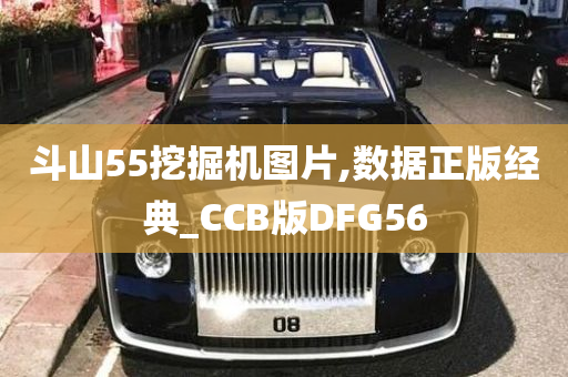 斗山55挖掘机图片,数据正版经典_CCB版DFG56