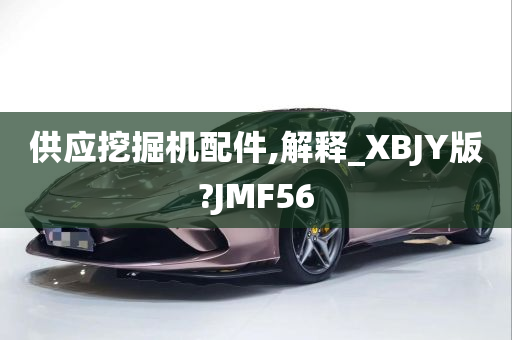 供应挖掘机配件,解释_XBJY版?JMF56