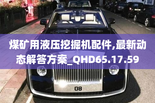 煤矿用液压挖掘机配件,最新动态解答方案_QHD65.17.59