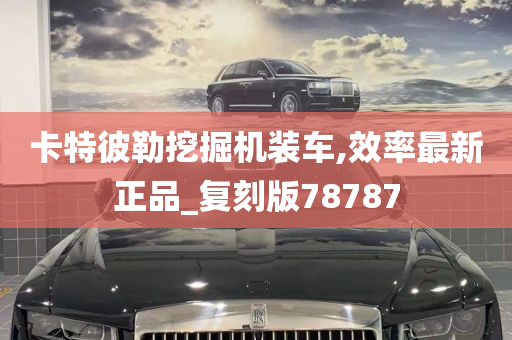 卡特彼勒挖掘机装车,效率最新正品_复刻版78787