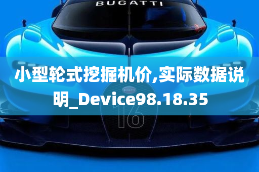 小型轮式挖掘机价,实际数据说明_Device98.18.35