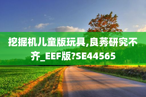 挖掘机儿童版玩具,良莠研究不齐_EEF版?SE44565