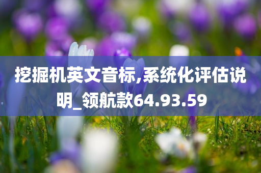 挖掘机英文音标,系统化评估说明_领航款64.93.59