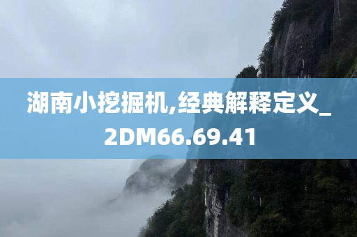 湖南小挖掘机,经典解释定义_2DM66.69.41