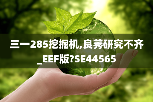 三一285挖掘机,良莠研究不齐_EEF版?SE44565