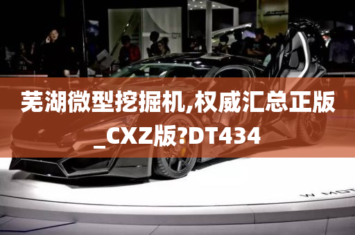 芜湖微型挖掘机,权威汇总正版_CXZ版?DT434