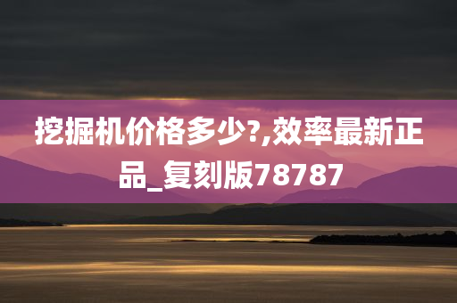 挖掘机价格多少?,效率最新正品_复刻版78787